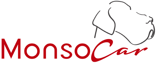 monsocar-logo